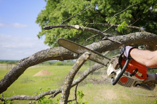 Is Your Work Environment Dangerous?