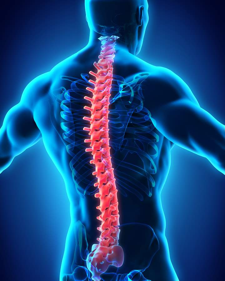 St. Petersburg Spinal Cord Injuries