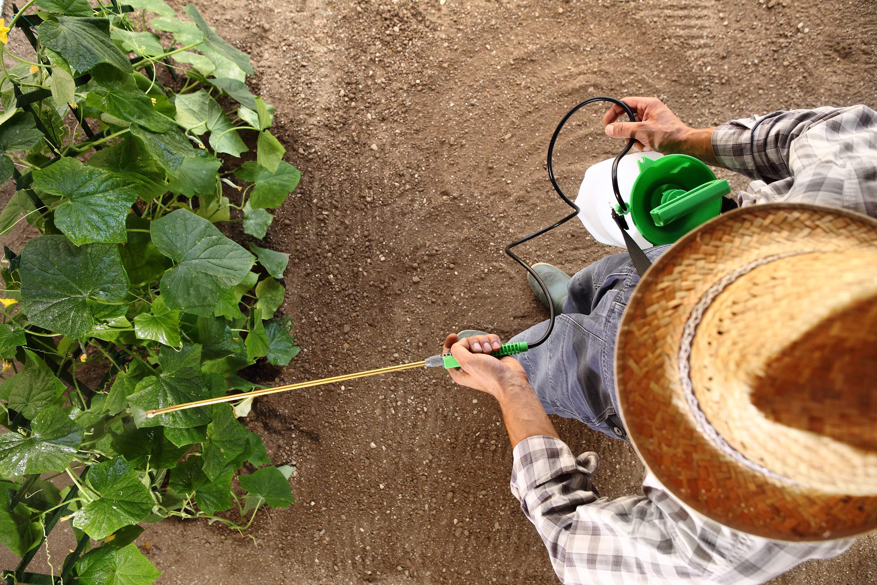 Roundup Weedkiller cancer lawsuit attorney Florida